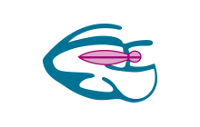 10.png