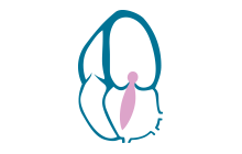 12.png