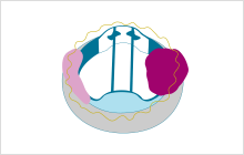14.png