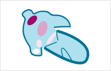 20.png