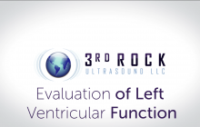 3RU%20MODULE%2015%20-%20EVALUATION%20OF%20LEFT%20VENTRICULAR%20FUNCTION.00_00_08_09.Still002.png