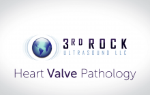 3RU%20MODULE%2021%20-%20HEART%20VALVE%20PATHOLOGY.png